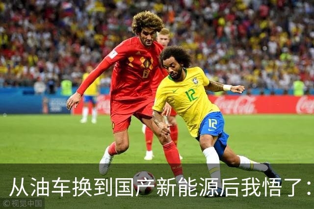 从油车换到国产新能源后我悟了：宁可花多点钱，也要坚持3不买